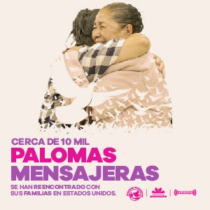 Portales_palomas_semexico.mx 300×300