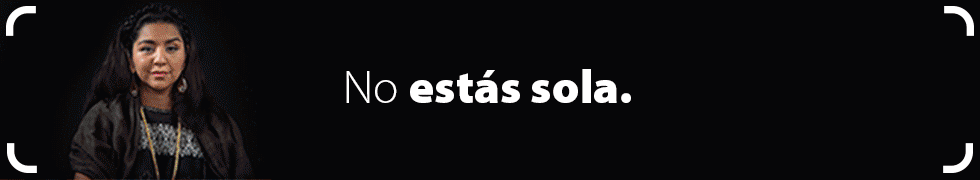 SEM-distribucion-de-competencias-980×180