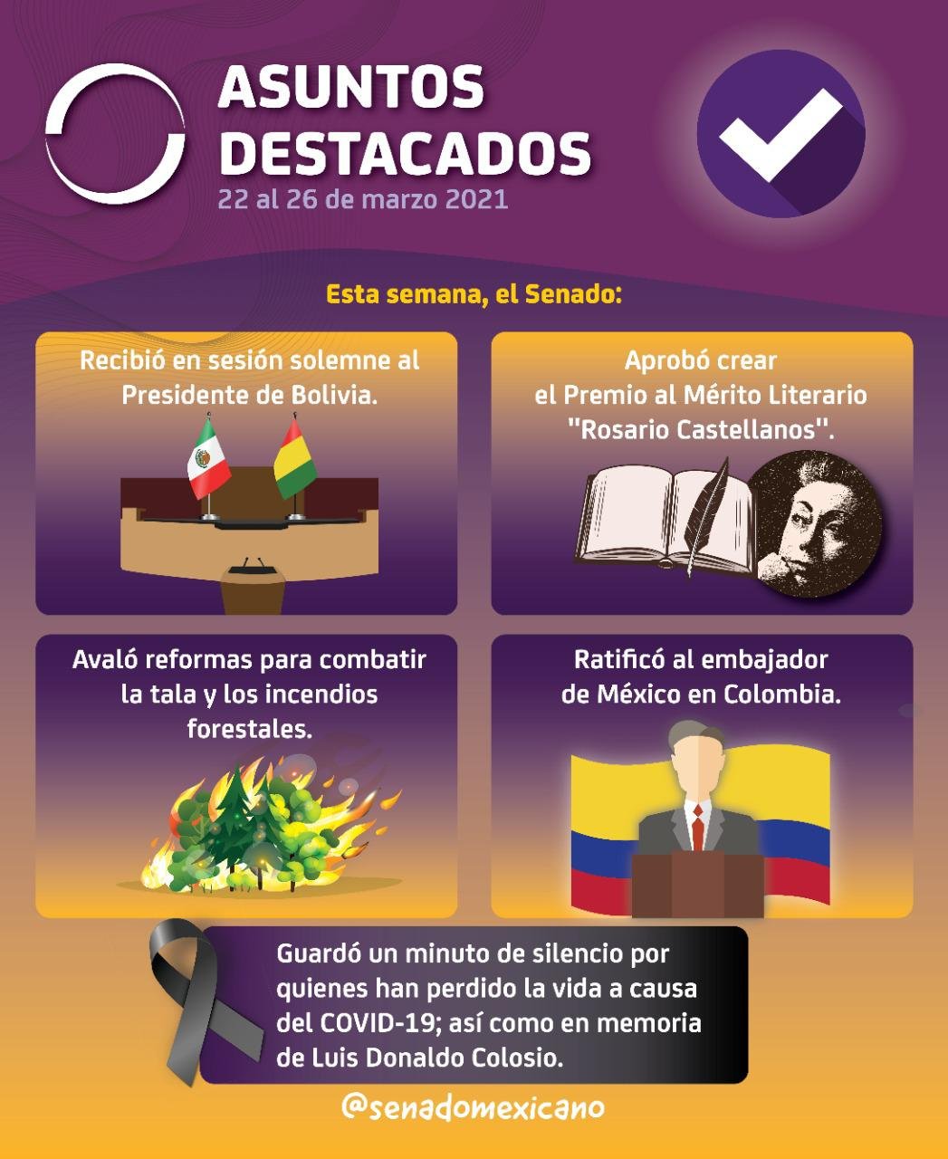 WhatsApp Image 2021-03-28 at 7.55.37 PM