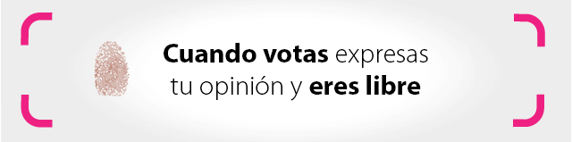 640×159 Llamado al Voto