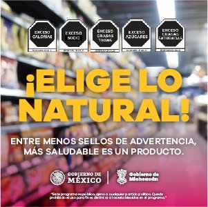 BANNER_ORIENTACION ALIMENTARIA_SEMEXICO.MX_300X300