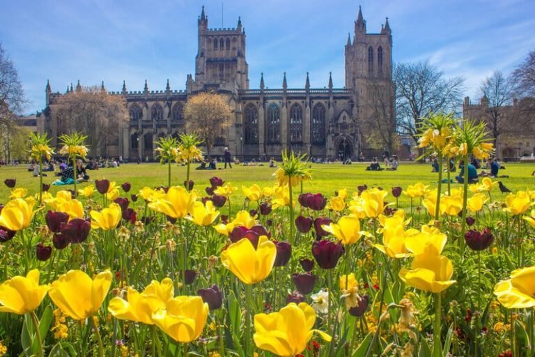 Claves para atender la violencia doméstica en servicios de salud: Universidad de Bristol