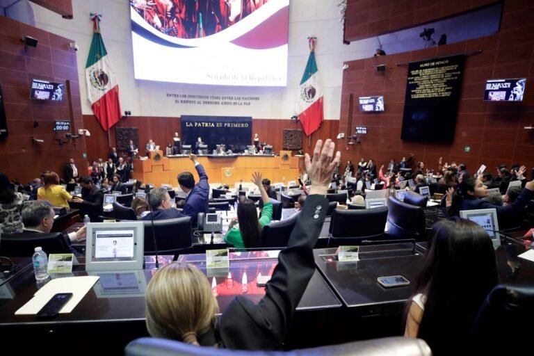 Senado aprueba por unanimidad reformas para garantizar acceso seguro de los menores a Internet