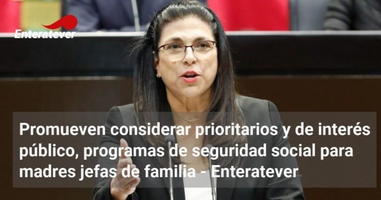 Promueven considerar prioritarios y de interés público, programas de seguridad social para madres jefas de familia