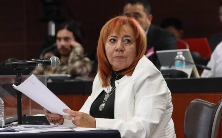 Senado vigilará a la titular de la Comisión Nacional de Derechos Humanos, tras su reeleción y para ver su cumplimiento 