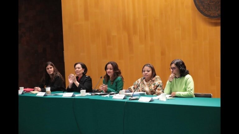 Los cuidados deben ser concebidos como un bien público: senadora Amalia García Medina 