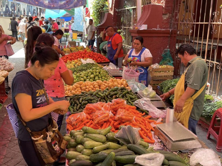 Obesidad y sobrepeso dificultan el desarrollo en México