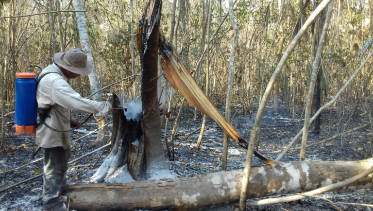 Fondo de recaudación para la conservación de reserva natural en Campeche