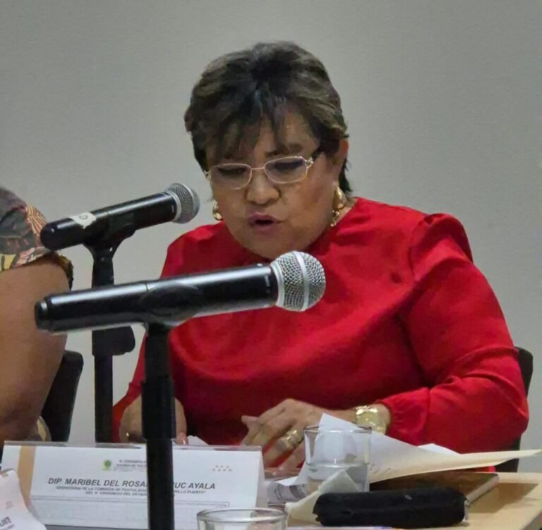 Congreso del Estado niega Medalla “Elvia Carrillo Puerto” a Sandra Peniche Quintal