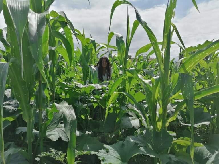 Liliana Rasgado, campesina zapoteca que busca dignificar el trabajo del campo