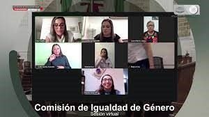La Comisión de Igualdad pide a los gobiernos estatales cumplan y discute incluir una palabra en la ley de violencia y repite cambios ya en la ley