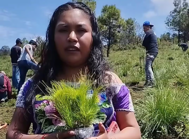 #8M Justicia para las presas políticas: Consejo Supremo de Mujeres Indígenas, ¡Libertad para María Cruz Paz, defensora de los bosques!
