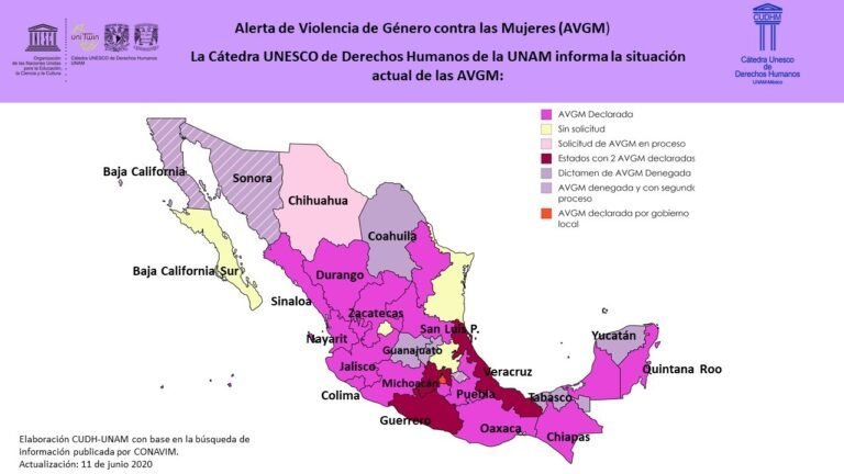 Por falta de interés no operan las alertas de violencia de género  desde enero,  no tienen presupuesto ni acciones