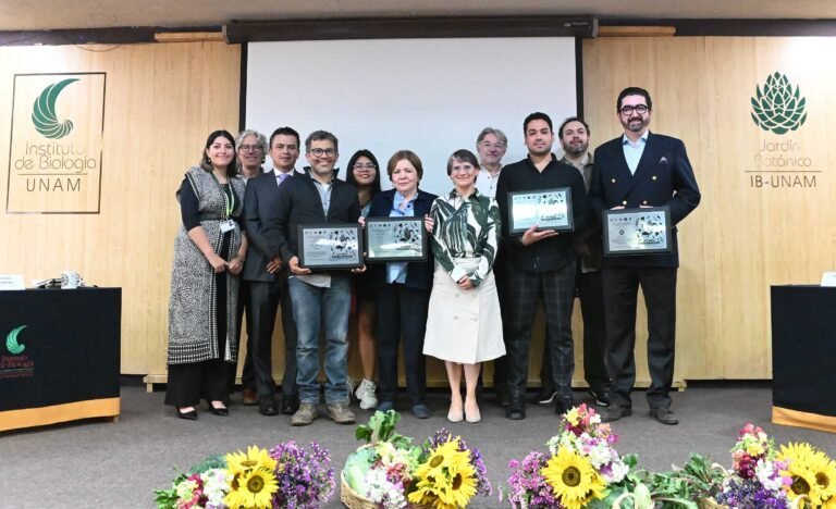Impulsan productos con etiqueta chinampera para proteger al axolote mexicano
