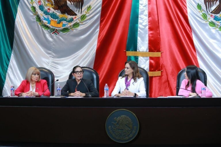 No caben los usos y costumbres en la protección de las infancias: Esquivel Torres