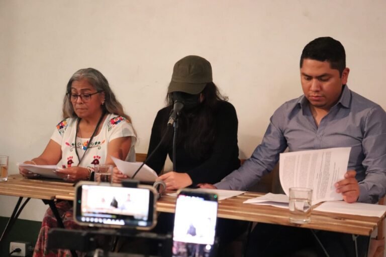 El sistema de justicia protege a los agresores: Pijy