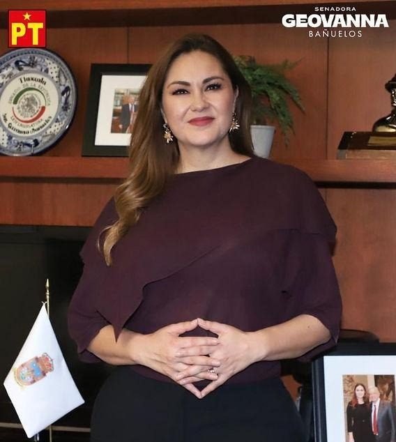 Resolver en un máximo de un año los procesos penales relativos a delitos de violencia de género: plantea PT