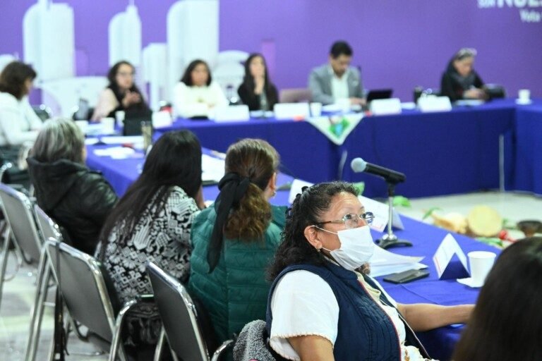 Voces de Mujeres Originarias encuentro para dar voz, reconocer y visibilizar
