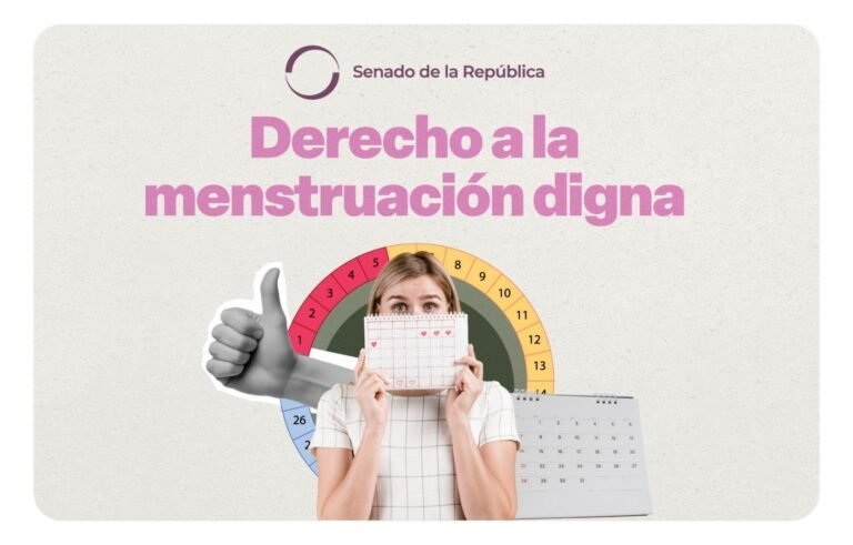 Impulsan reformas para establecer a la menstruación como un derecho de salud integral