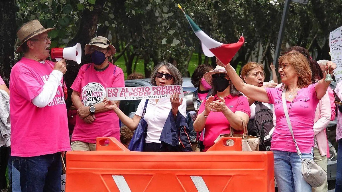Marea Rosa está a cuatro asambleas de cumplir el requisito para convertirse en partido político