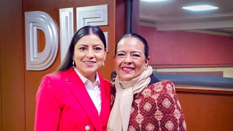 Proponen blindar el patrimonio de adultos mayores a través del DIF Nacional