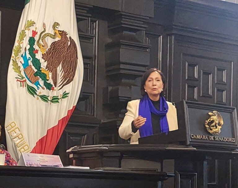 Clase de historia y de contexto dio Amalia García Medina en el Congreso Feminista  a que llamó la presidenta del Senado