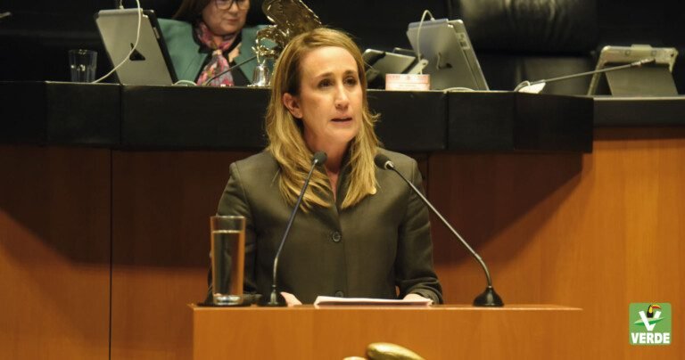 Urge priorizar la salud mental como derecho humano: senadora Virginia Magaña