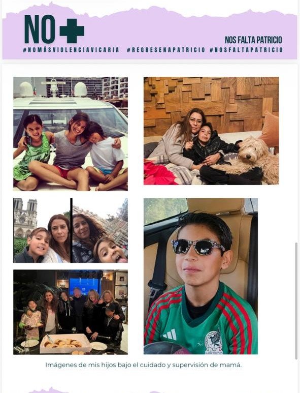 Mi caso, la prueba viva de cómo opera la impunidad judicial, dice Elisa Celis