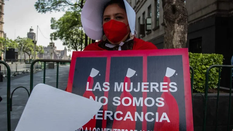 Mujeres defensoras de derechos humanos exigen prohibir los vientres de alquiler, afirman que explotan su capacidad reproductiva