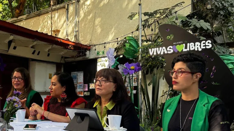 Eliminar el aborto de los códigos penales, siguiente paso en la lucha feminista