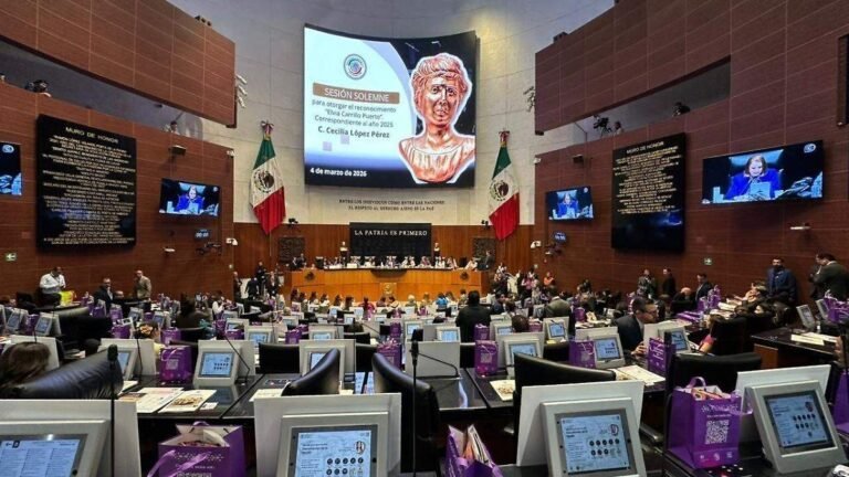 Reconocimiento Elvia Carrillo Puerto  2025 a Cecilia López Pérez mujer indígena Tsotsil