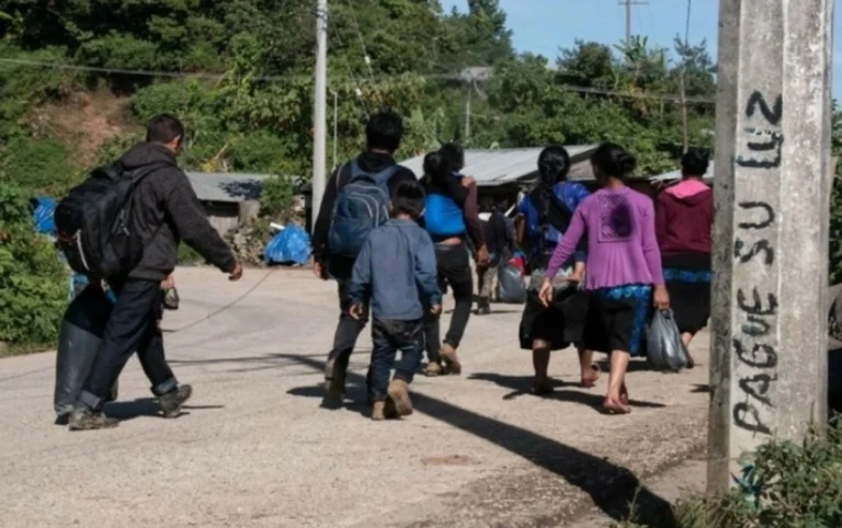 Autoridades no responden, los Ardillos perpetran ataques contra comunidades de la Montaña