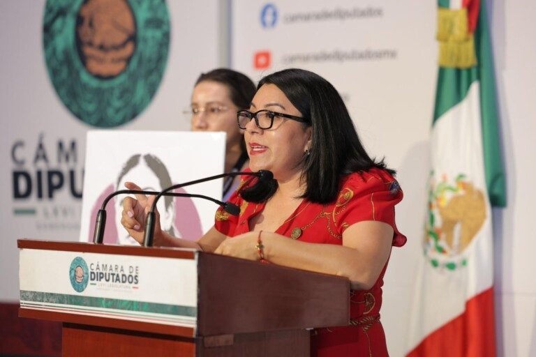 Desaparición y feminicidio de Sandra Domínguez, ejemplo de la violencia que ocurre en México