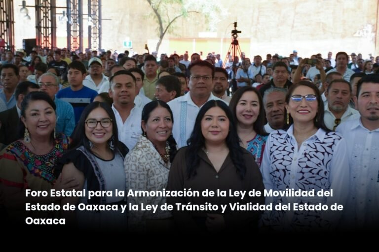 Armonización de la ley de movilidad, una demanda histórica: diputada Tania Caballero