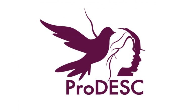 En el Sistema de Cuidados es imprescindible incluir la visión de quienes cuidan: trabajadoras exigen participación vinculante en su diseño
