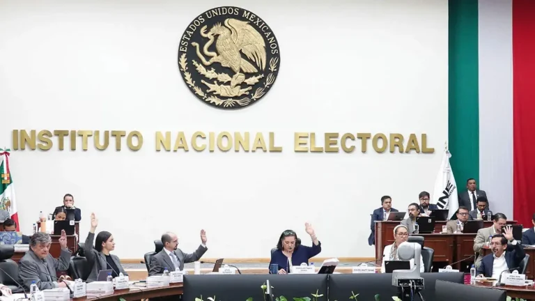 INE niega registro a México Tiene Vida y Que Siga la Democracia; nacen dos partidos